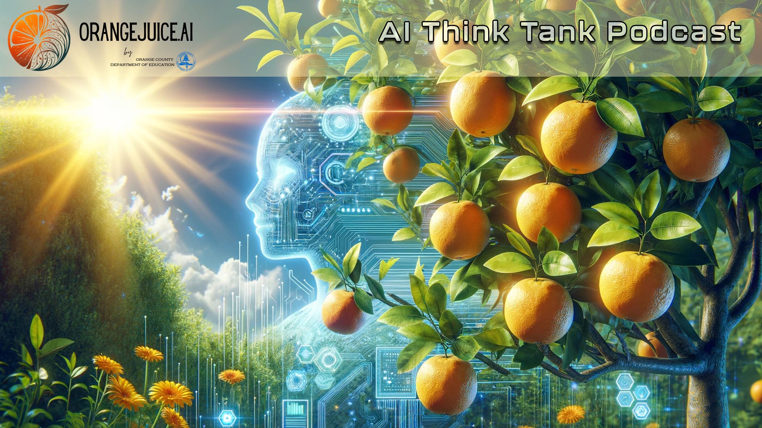 Show-#10-Webinar-Wallpaper